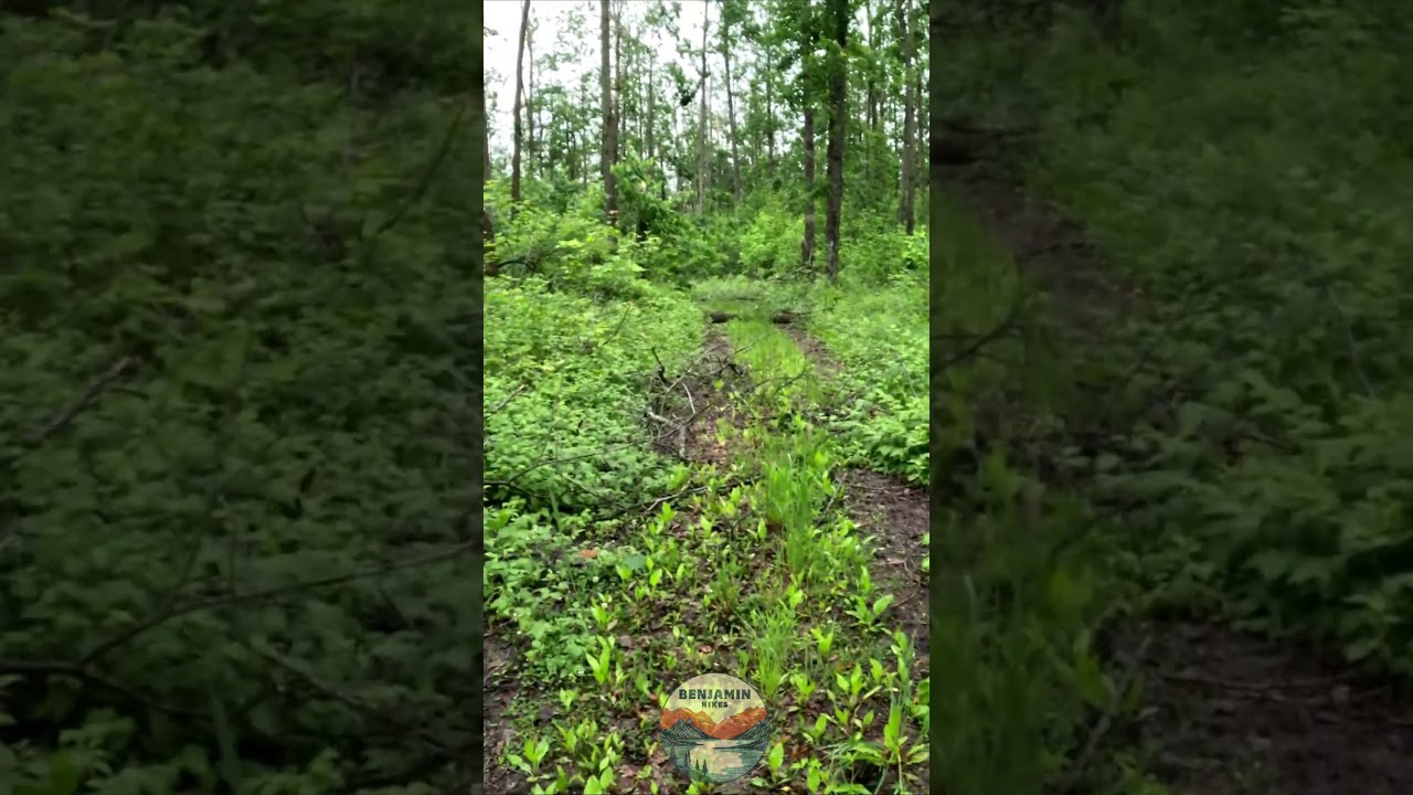 Short 9 | DO NOT REPEAT THIS HIKE, North Country Trail HIKE100 | 