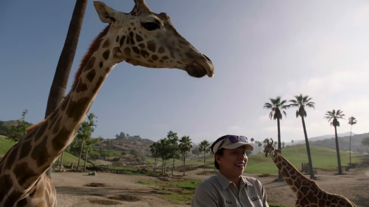 Celebrating Wildlife Care Specialists