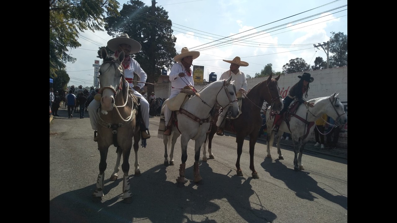 Mi cuaco cenizo patas blancas por MaxTequilas