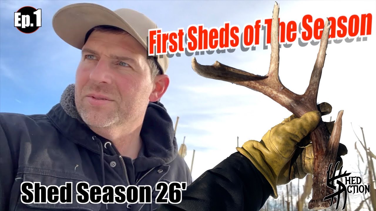 SHED ACTION — 26 сезон, 1 серия «Так всё начинается»