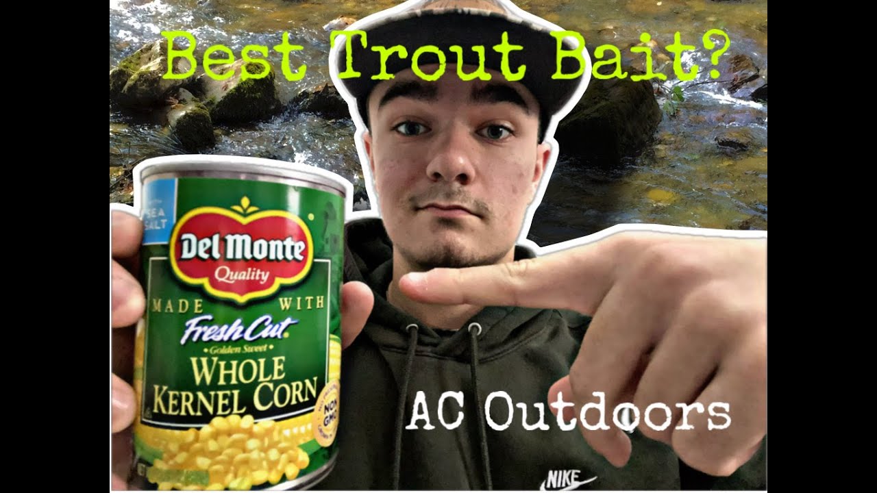IS THIS THE BEST TROUT BAIT? (CATCH AND COOK!)
