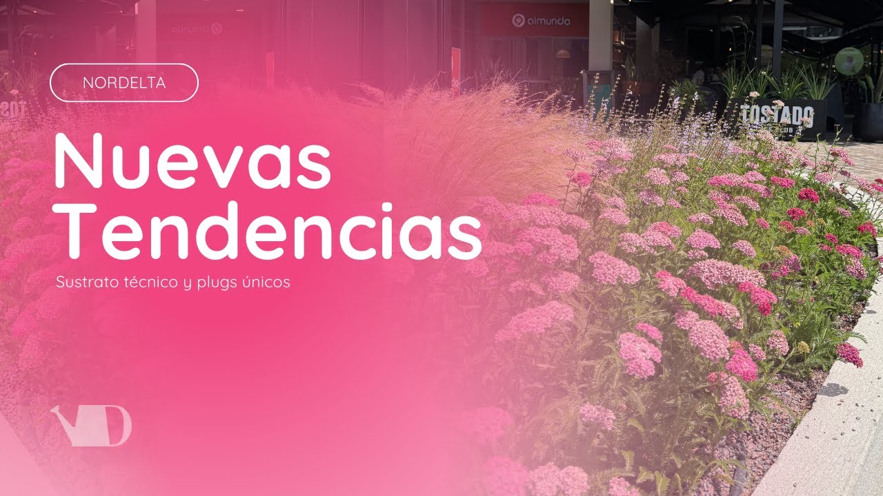 Tendencias en paisajismo: sustrato técnico, plugs y nuevas formas de sembrar