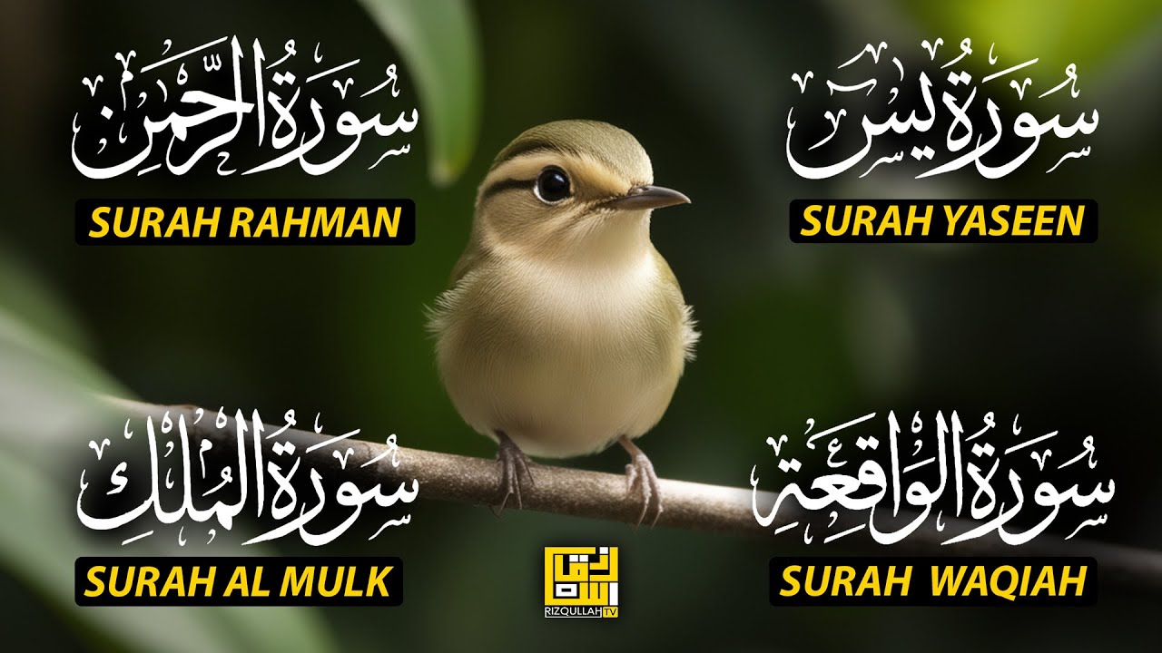 The Best Recitation Surah Yaseen (Yasin) | Surah Rahman | Surah Waqiah | Surah Mulk EP191