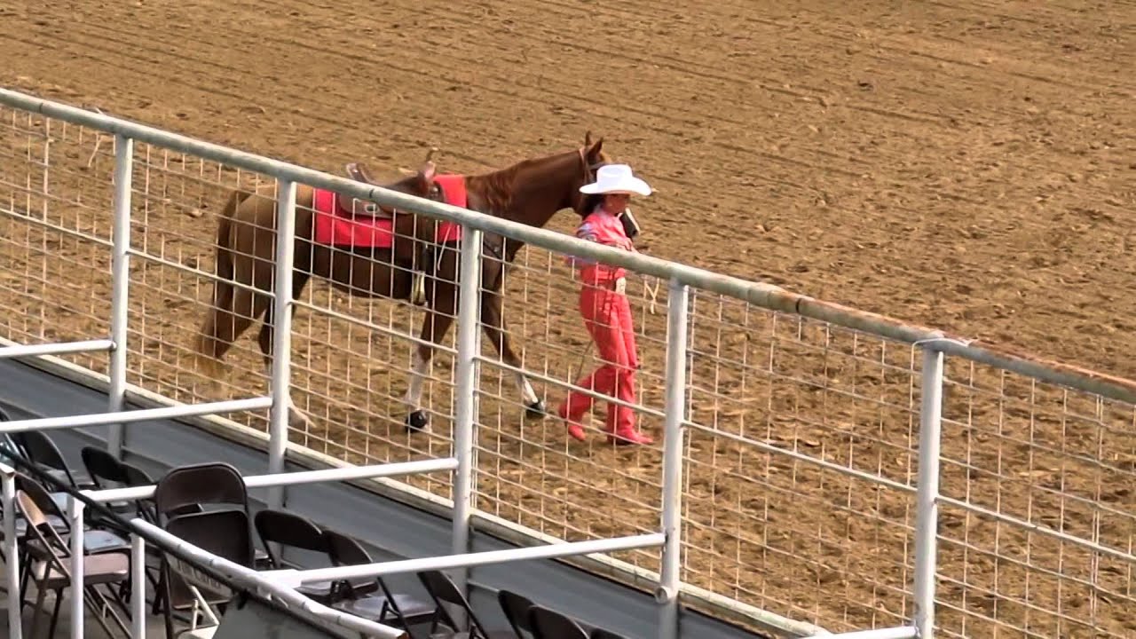 Emily's Crossett PRCA Rodeo Queen Horsemanship Competition