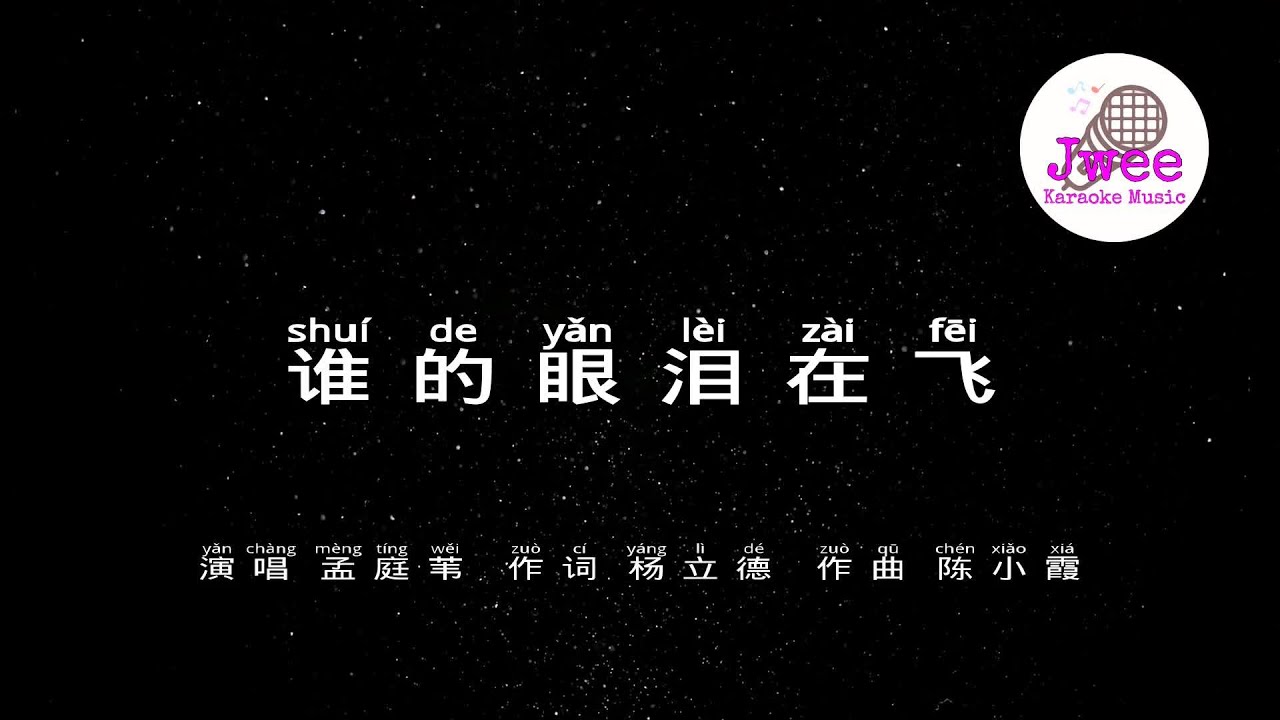 孟庭苇 谁的眼泪在飞  -  Pinyin Karaoke Version - 拼音卡拉OK伴奏 - KTV with Pinyin Lyrics