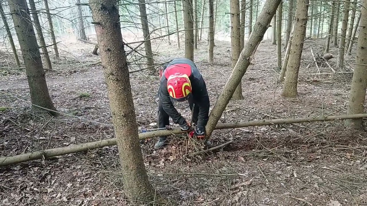 Úklid paseky před sázením 2/3