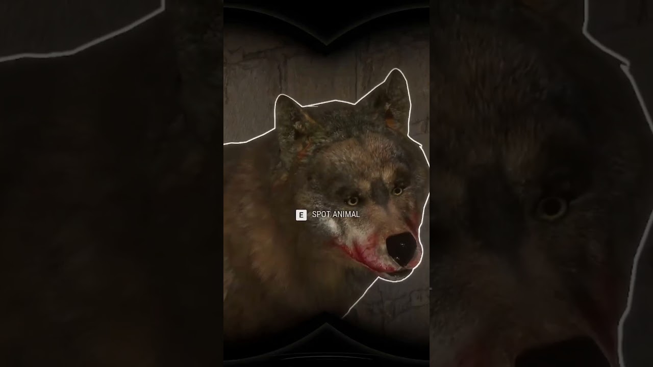 Получите своего ИГРО ИБЕРИЙСКОГО ВОЛКА в ЧЕТЫРЕХ МИССИЯХ!!! 🐕🔫🐕 - Call of the Wild #shorts