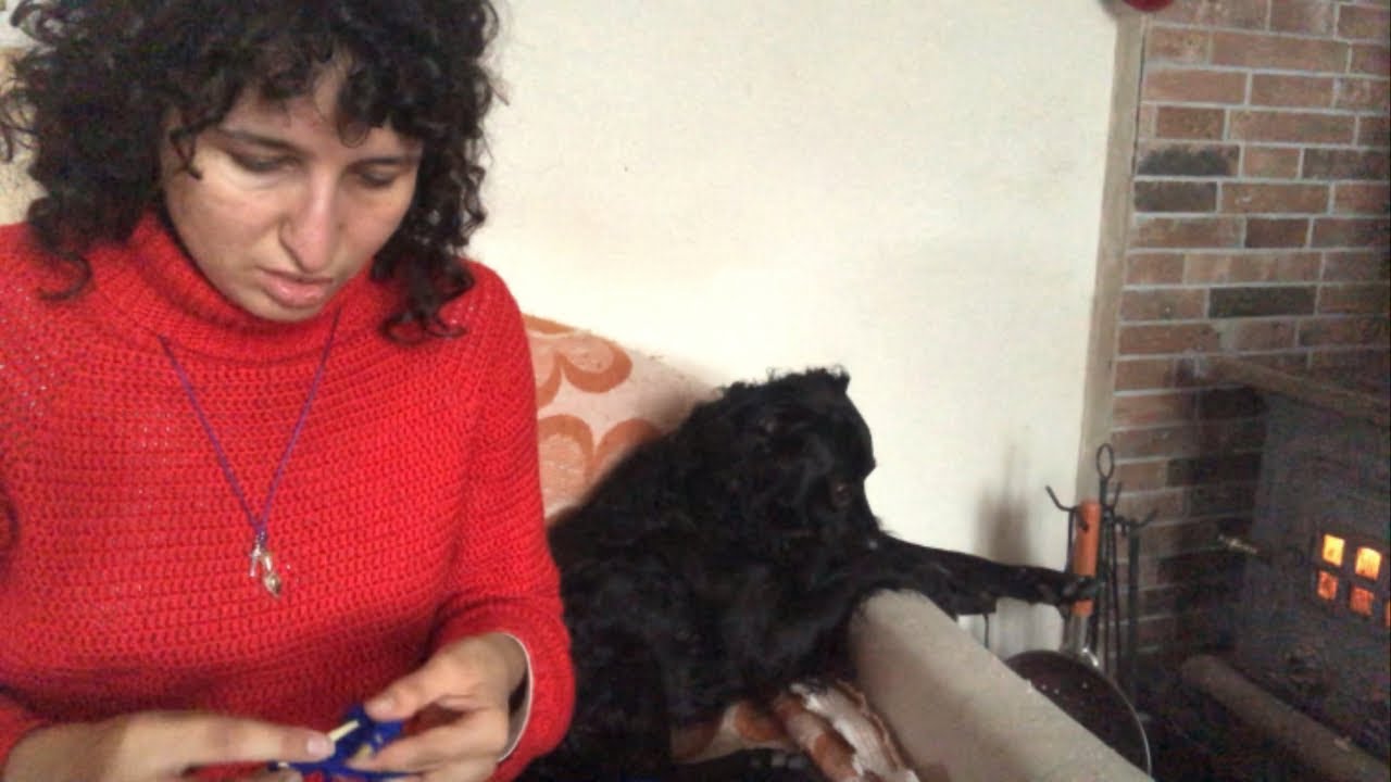 Vlog: svuota la busta, gnocchi stregati e spaghetti con i pomodori dell’orto