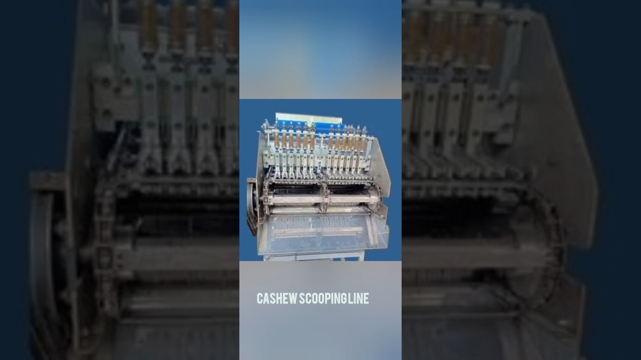 cashew processing plant#cashewprocessingmachine #machine #cashew#machine #plant#scooping#cashewnuts