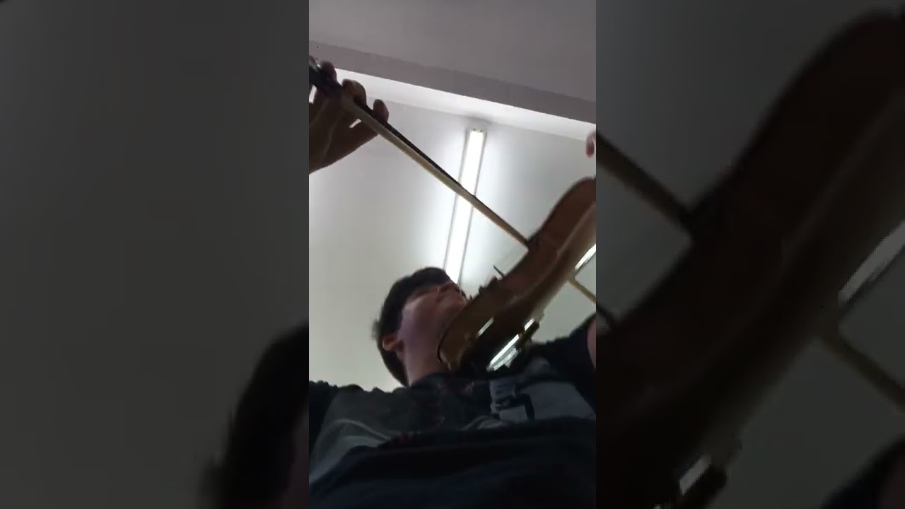 Mozart - Eine Kleine Nachtmusik (Quarteto de Cordas)