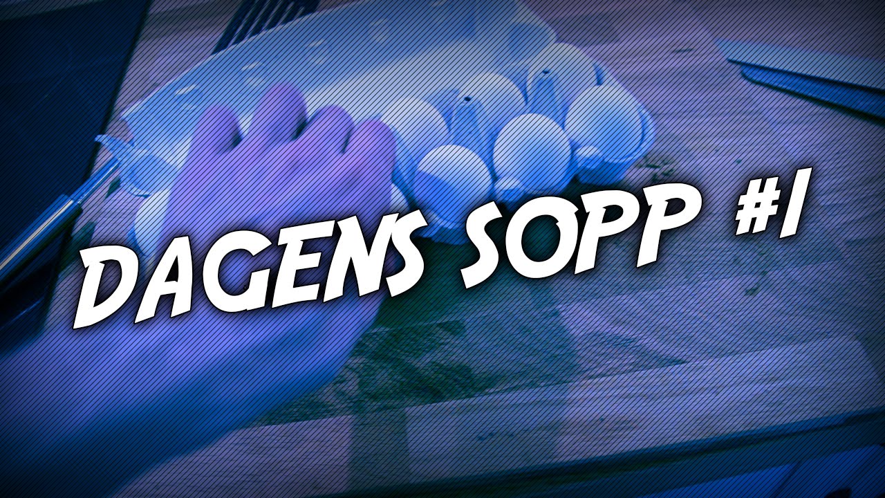 DAGENS SOPP 1