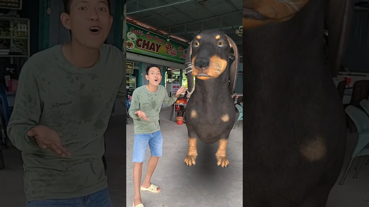 Con ch&oacute; khổng lồ #shost