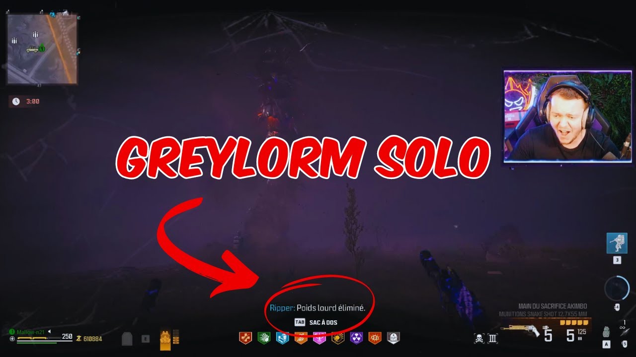 BOSS D'ÉTHER GREYLORM SOLO !
