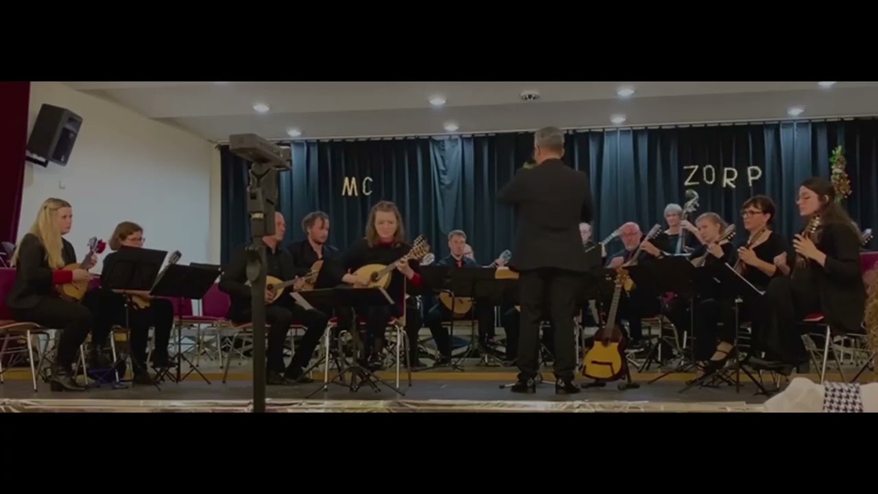 Zupforchester Rheinland-Pfalz - Konzert C-Dur für Solomandoline und Orchester