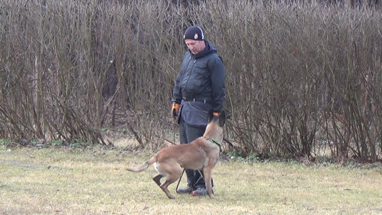 R2D2 de Orelav 20 months old