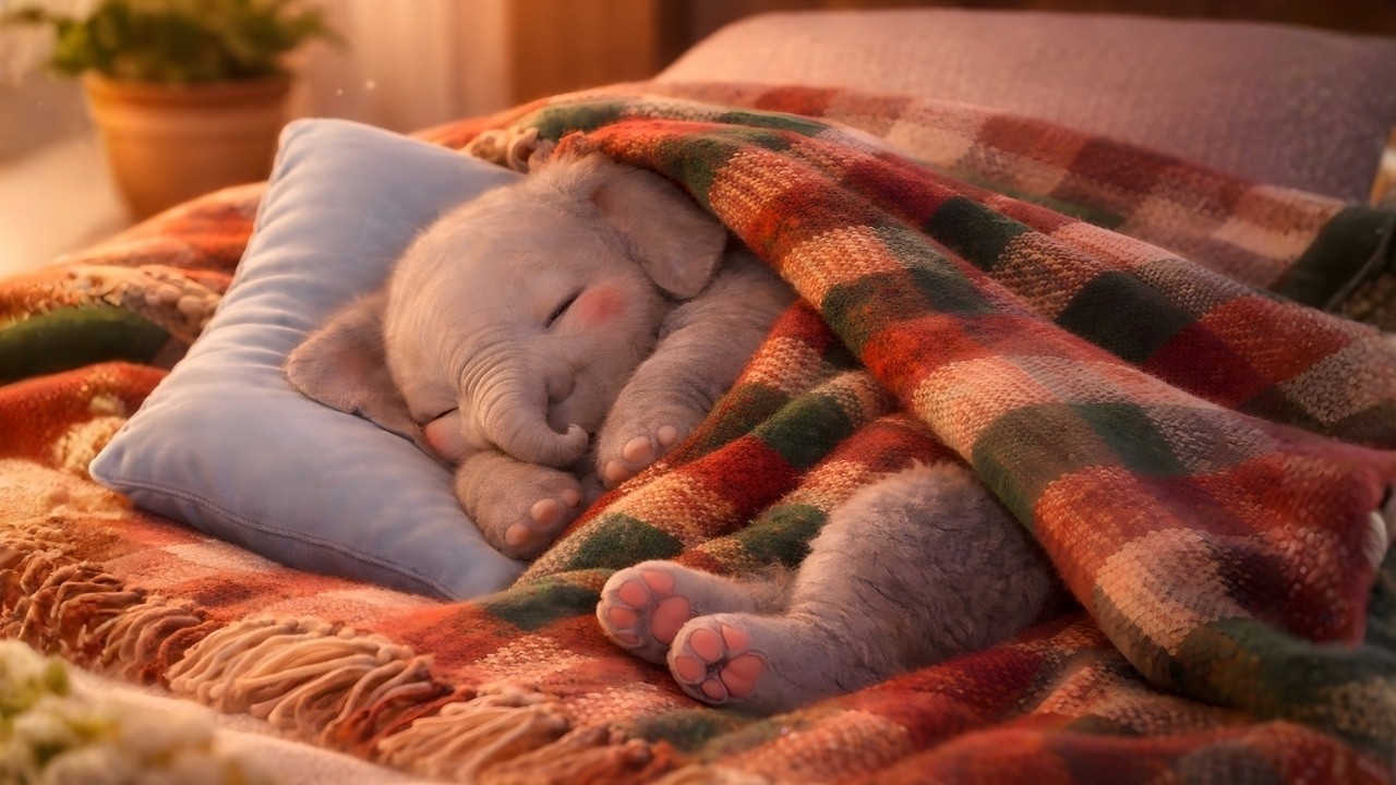 (NO ADS)Sleepy Elephant & Gentle Piano | Sleep All Night 🐘