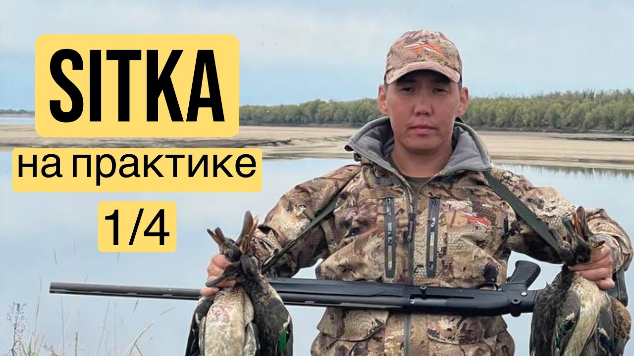 Куьунну кус - 2025 (Sitka на практике!)
