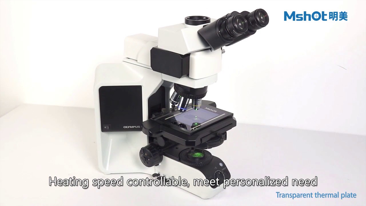 MSHOT Microscope Thermal Plate - Leader Chinese Manufacture