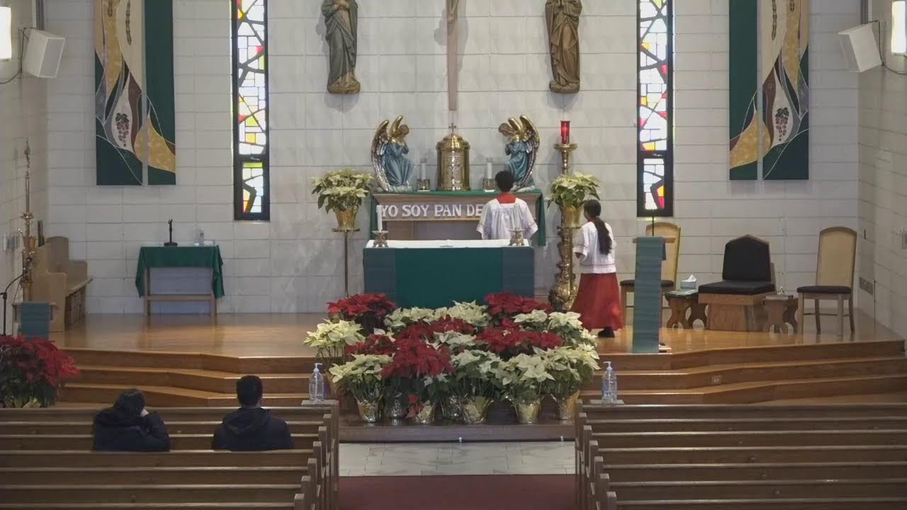 Sunday, Mass in English