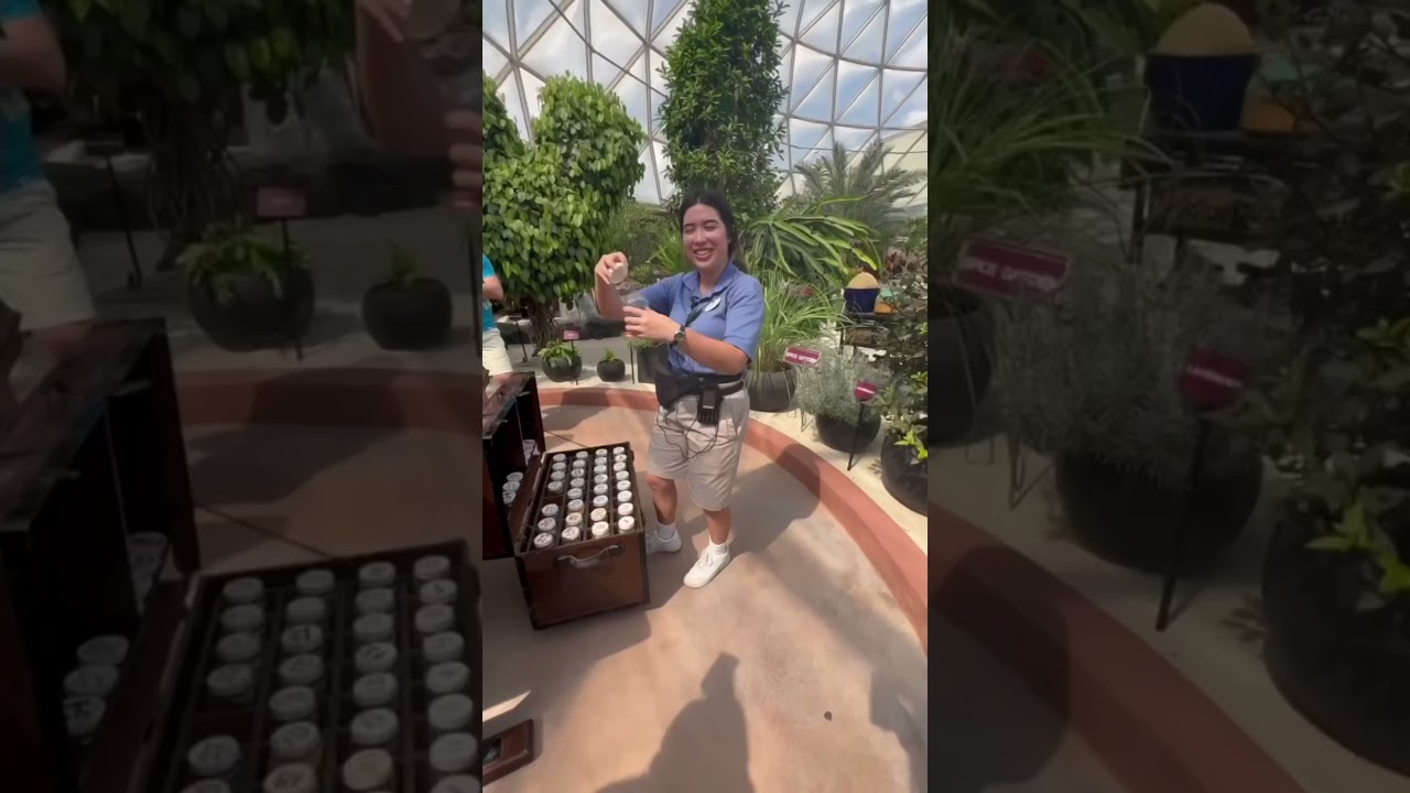 Get an Insider Look at EPCOT&rsquo;s Behind The Seeds Tour at Walt Disney World