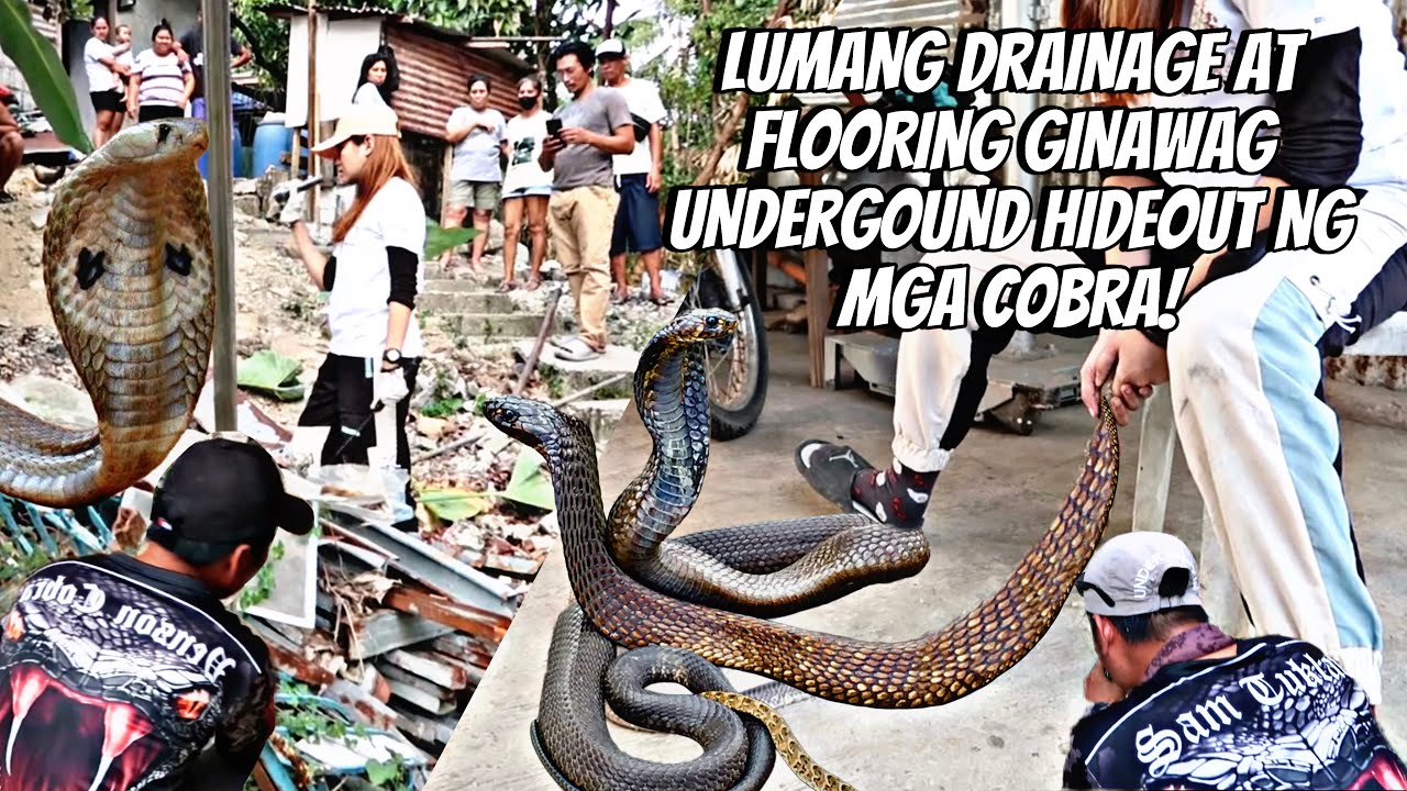 LUMANG DRAINAGE AT FLOORING GINAWANG UNDERGROUND HIDEOUT NG MGA COBRA #princesstuklaw