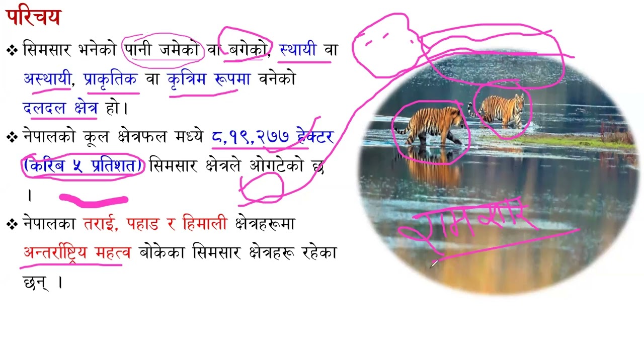 सिमसार सम्बन्धी