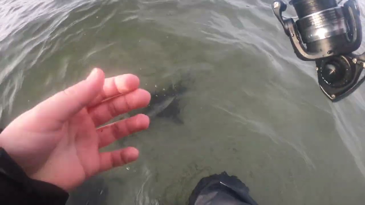 kustfiske pt1
