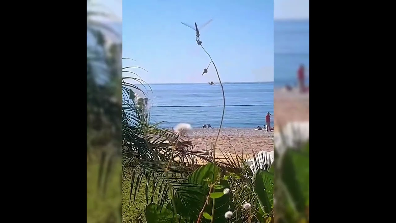#natureobserver #наблюдательприроды #naturebeauty #enjoybeautiful #fethiyeturkey #природафетхие 