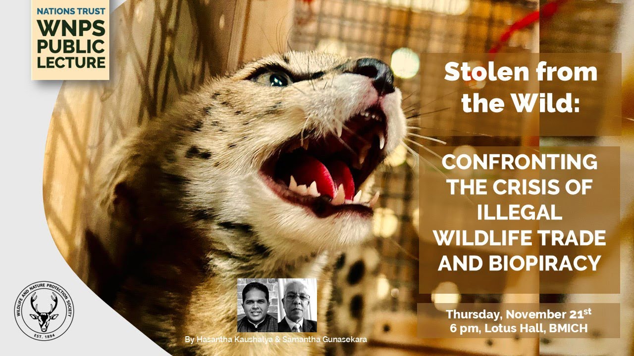 WNPS Monthly Lecture: Stolen from the Wild: Confronting the crisis of illegal wildlife trade