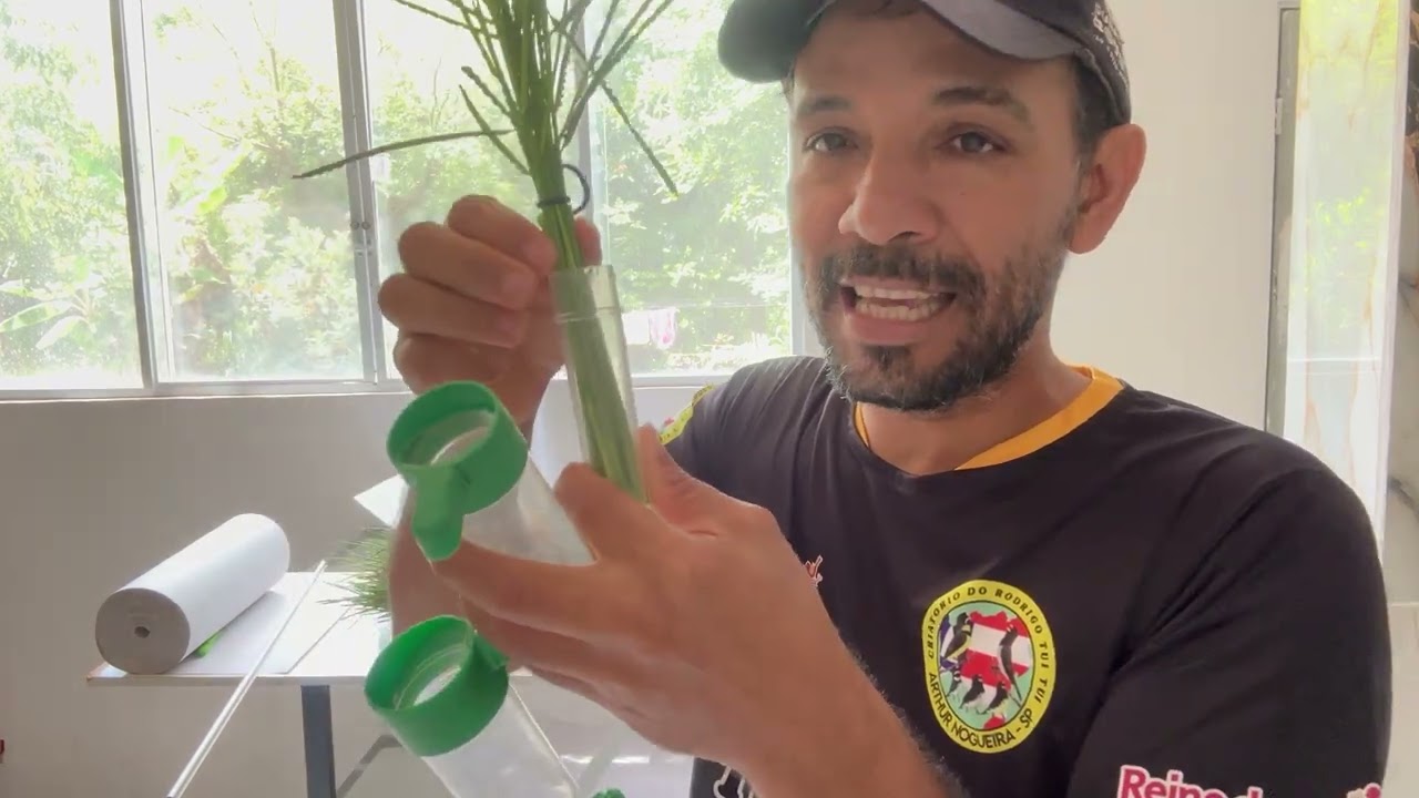 Deixe nos comentário qual semente verde seu coleiro mais gosta.