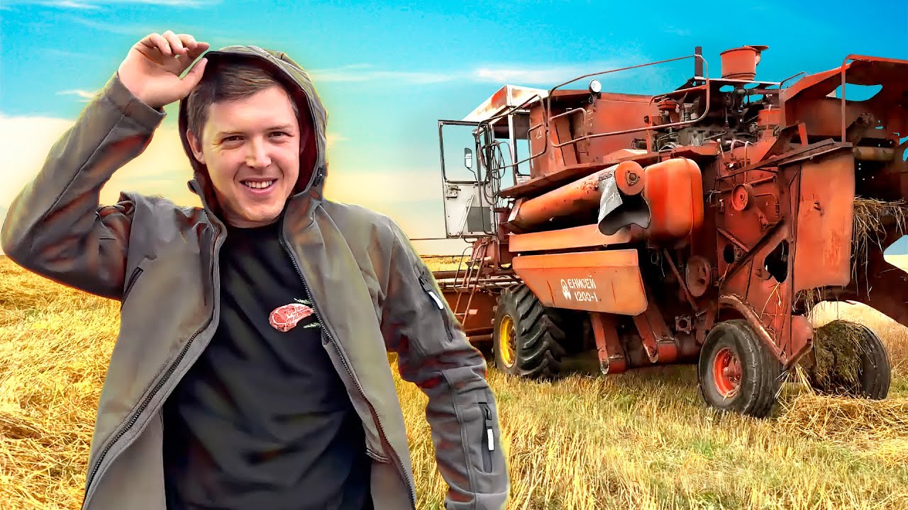 🌾 УБОРКА ЗЕРНОВЫХ 2023 НАЧАЛАСЬ!!! ОВЁС в Ивановской области