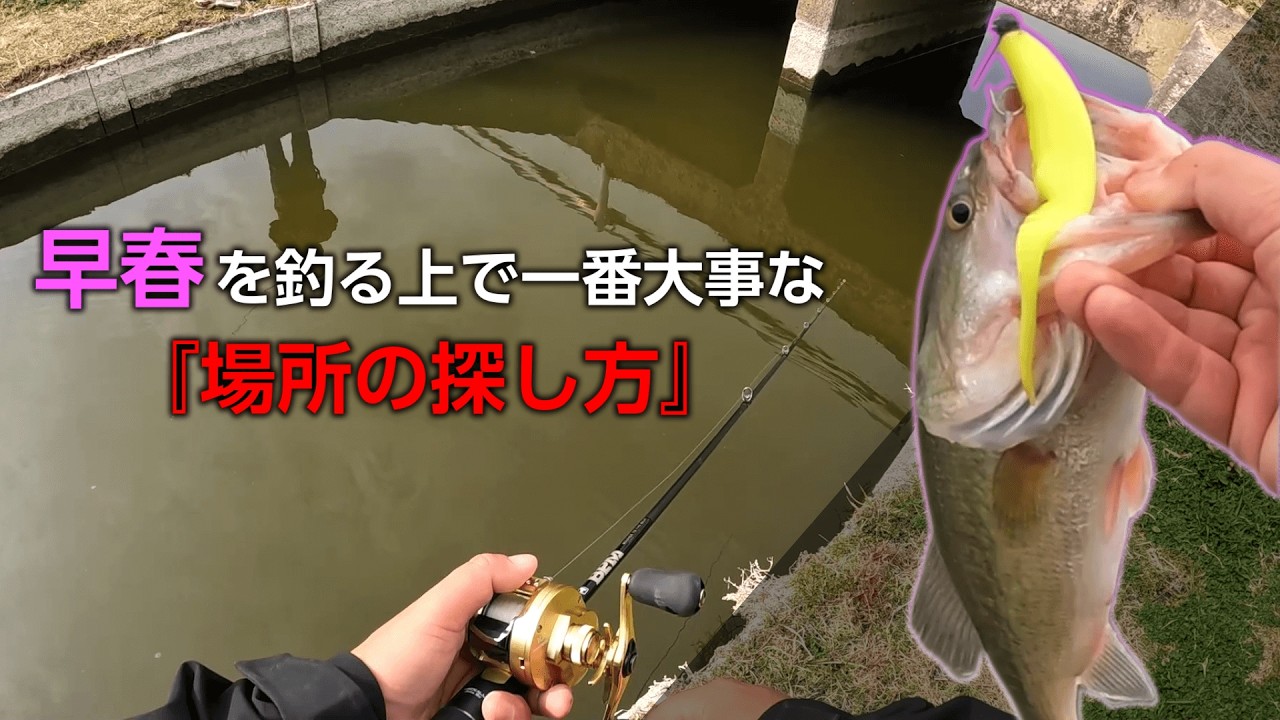 【早春の柳川クリーク】広大な水路の中から釣れる場所を探り当てる方法！！