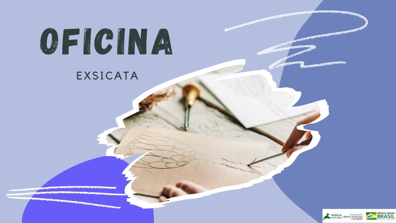 Coleções botânicas - produção de exsicatas em casa, para colecionar ou para decoração