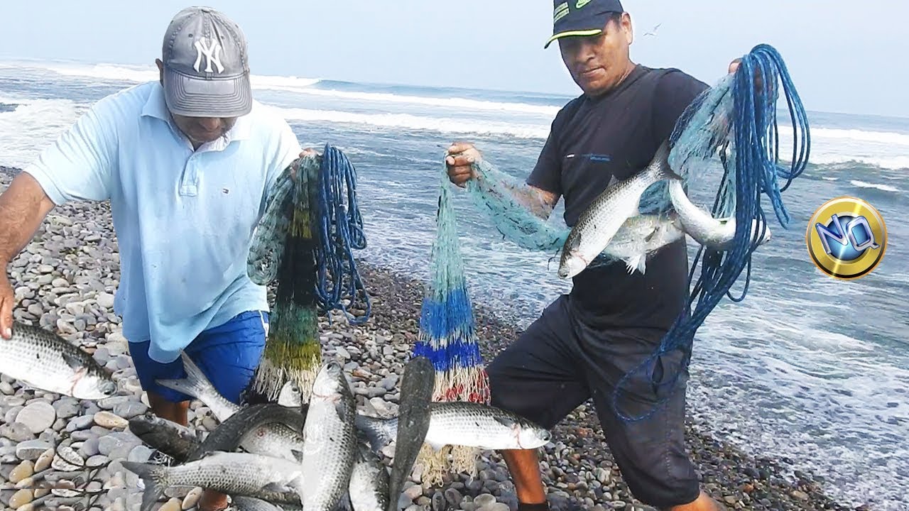 Intrépidos Pescadores Desafían al Mar Bravo consiguiendo una Increíble Pesca