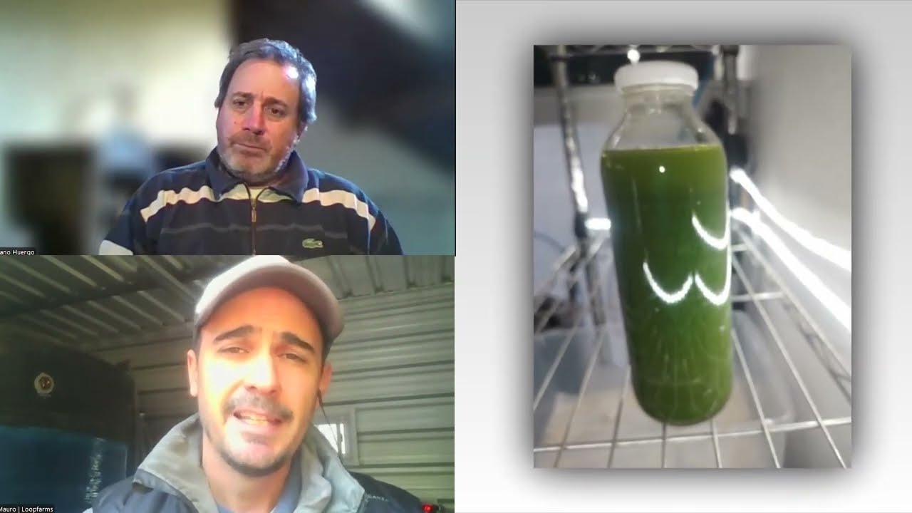 Loop Farms: innovación en biorrefinerías urbanas para la economía circular