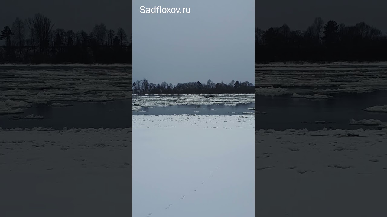 Ледостав на Оке