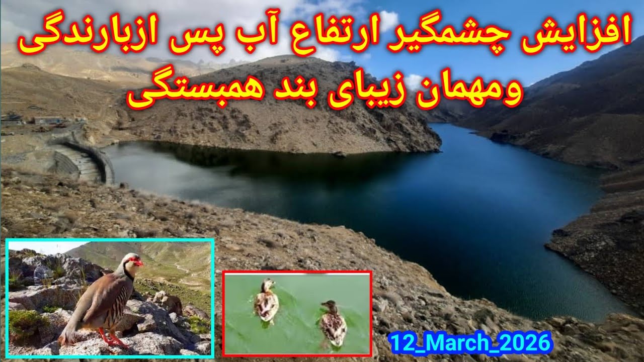 گزارش از یکصدو چهار ومین روز آبگیری بندهمبستگی سنگجوی لومان جاغوری 