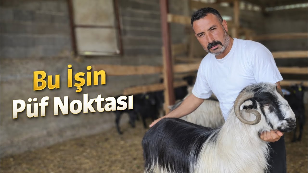 Kaliteli Kurbanlık Almak İsteyenler Buraya ‼️ KURBANLIK NASIL SEÇİLİR ?
