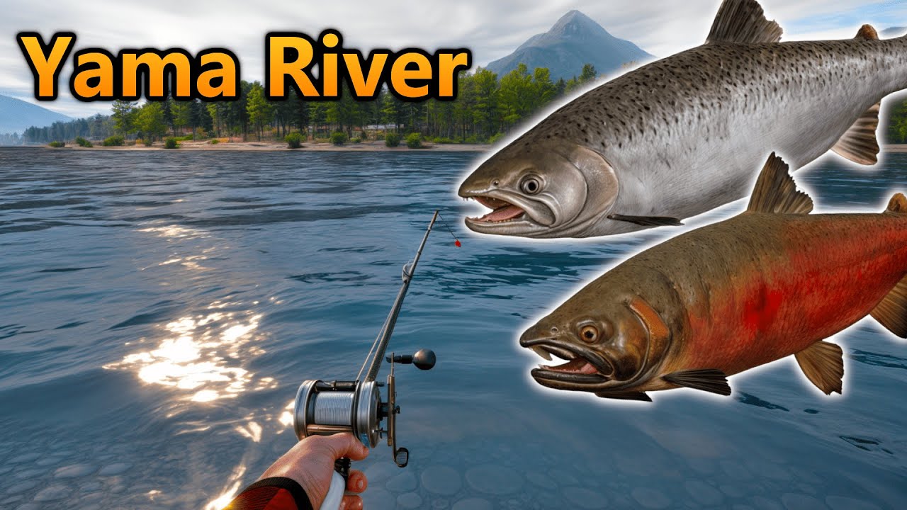 Russian Fishing 4 - Yama River - Coho Salmon Spot