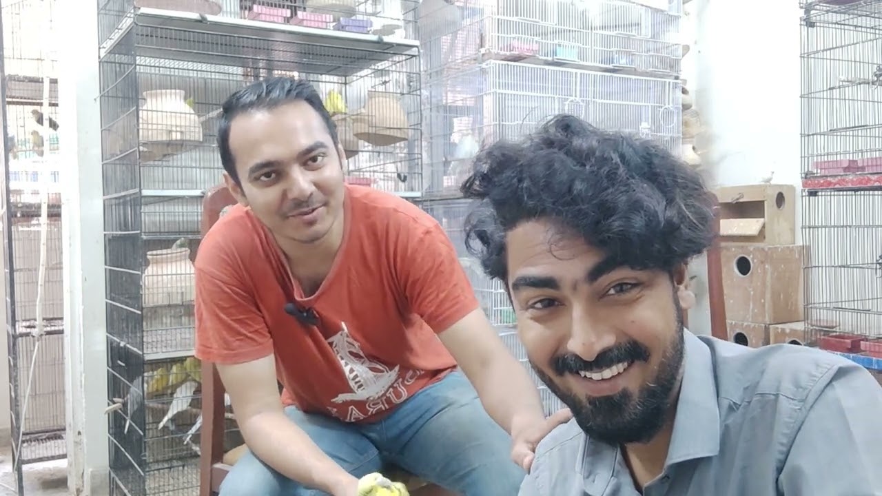 budgies talk with AHSAN ZAFAR