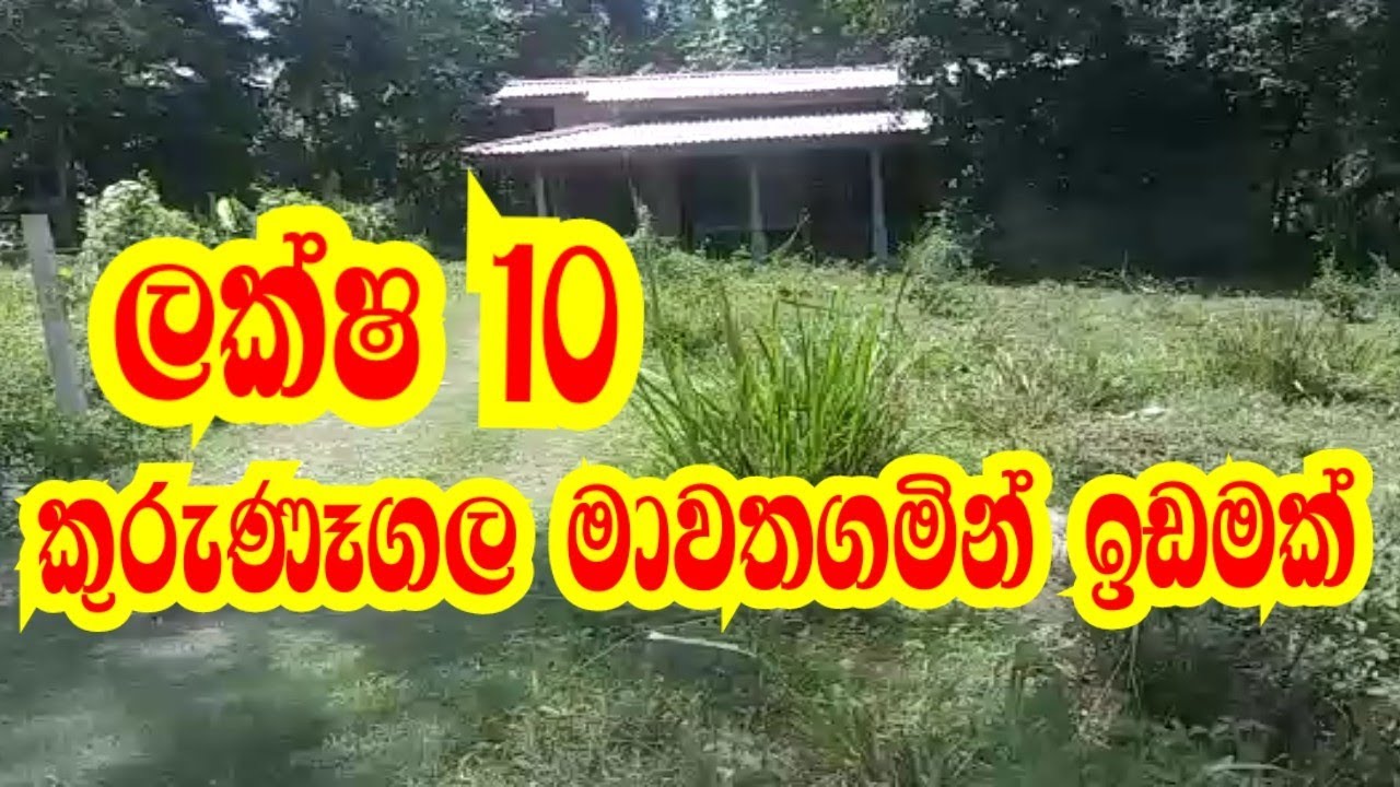 කුරුණෑගල මාවතගමින් ලක්ෂ 10 ඉඩමක්|kalu malli|aduwata idam|pol idam|idam