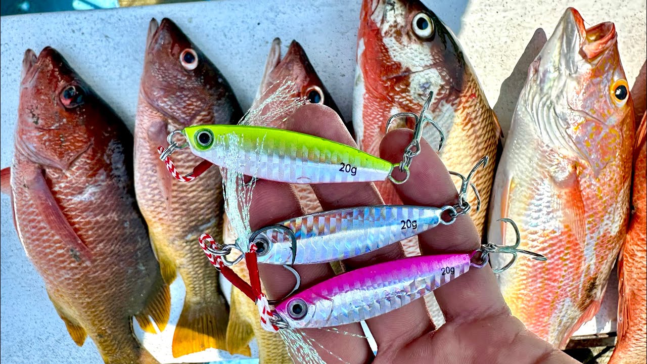 Pesca de PARGOS con señuelos JIGS al FONDO.