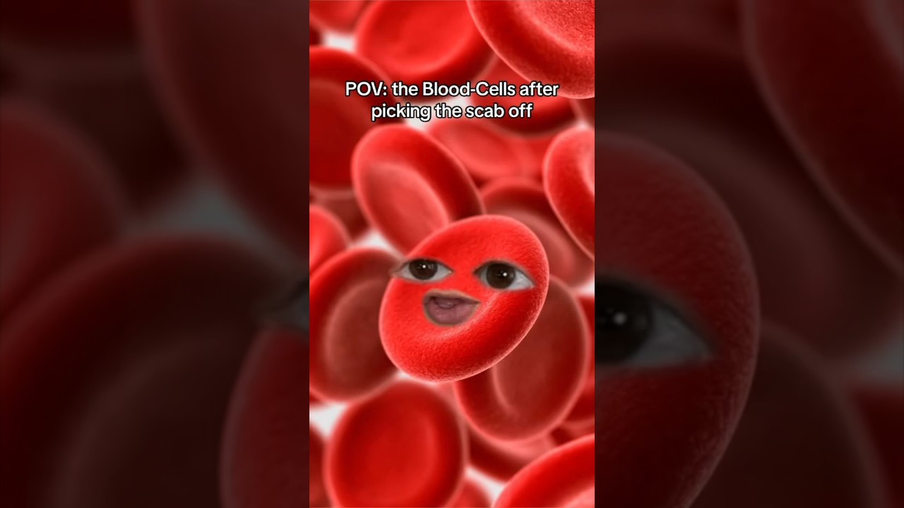 Me vs My Blood Cells #TheManniiShow.com/series iB@FreddyMan