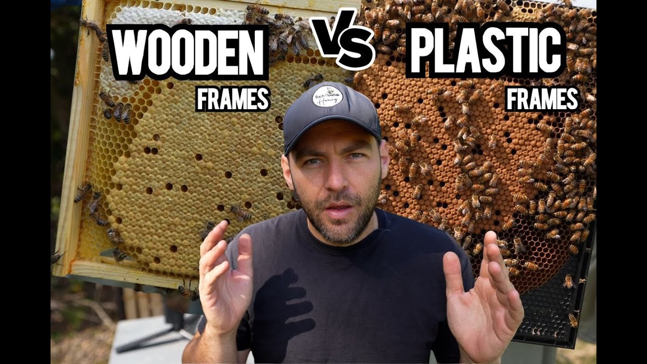 What's The Best Bee Frames? Wood VERSUS Plastic