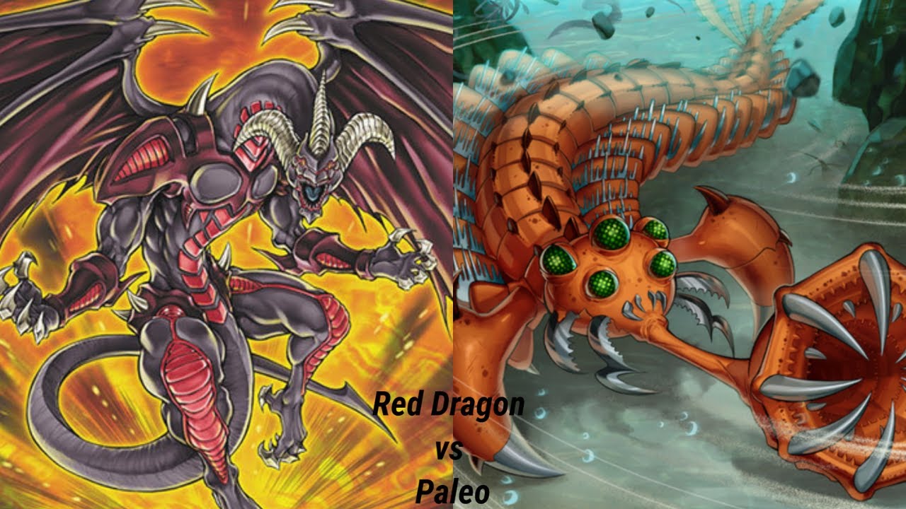 #9 Red Dragon vs Paleo | Yu-Gi-Oh Master Duel | yuck
