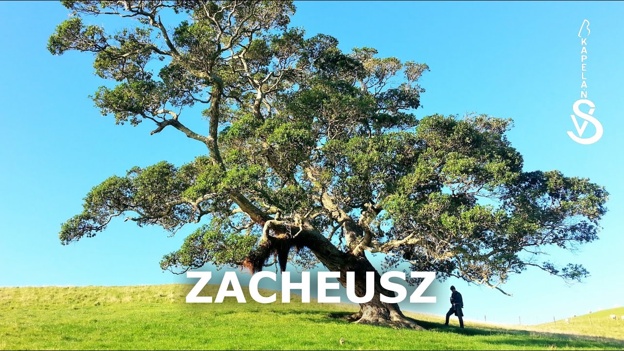 Kapela.N - Zacheusz (Kapela.oNline)