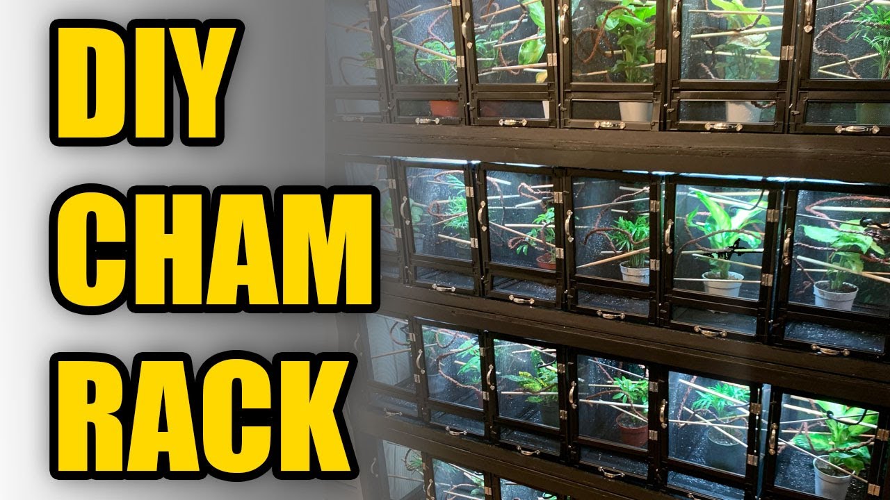 DIY Cham Rack from RAW Materials!