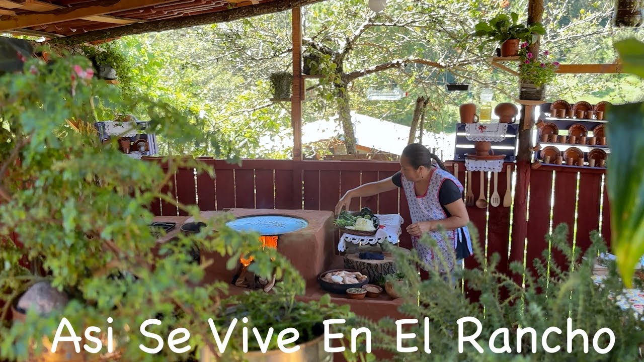 Tengo Un Pollito Pendiente Una Receta De Rechupete De Mole Verde
