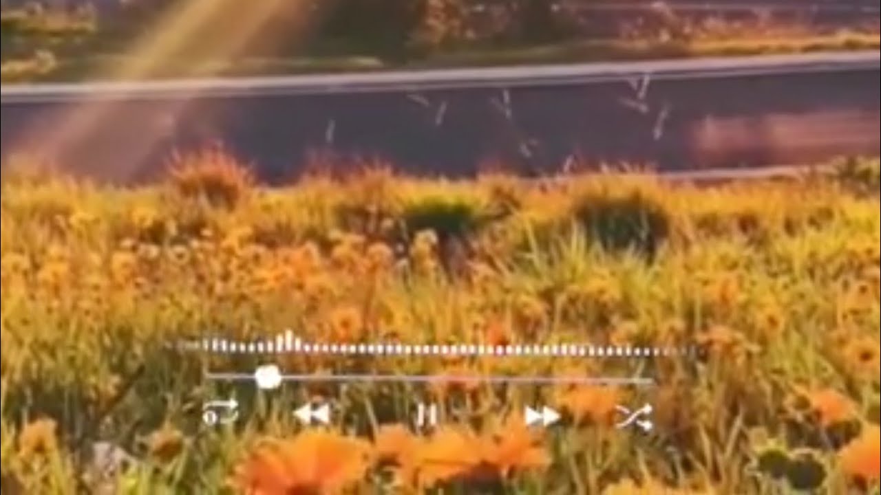 ماذا قال العبد الَمفاخر للعبد الصالح؟