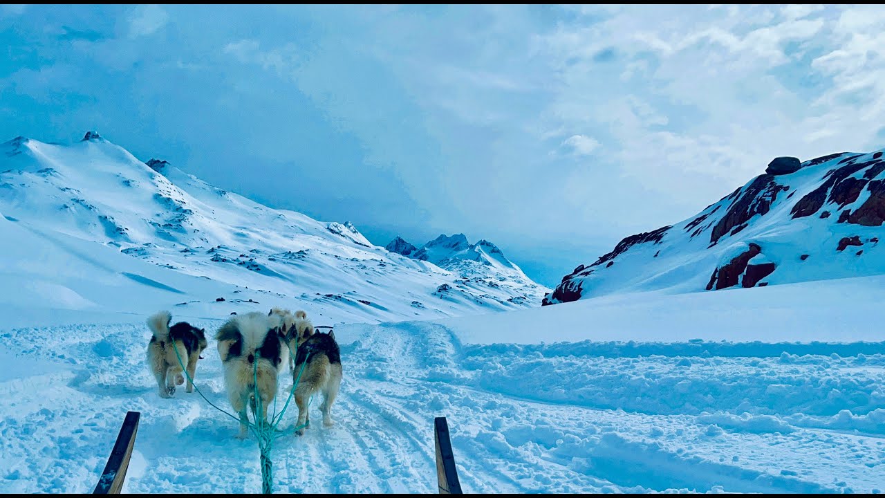 THRILLING 8 DAYS DOG SLEDDING TOUR  - EAST GREENLAND. Enjoy the thrill !
